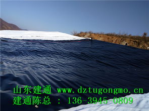 專(zhuān)業(yè)高效，品質(zhì)信賴(lài) 探訪(fǎng)江西復(fù)合土工布工廠(chǎng)直銷(xiāo)與山東建通建材加工服務(wù)